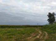 Satılır 1900 sot torpaq Xaçmaz