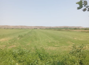 Satılır 300 sot torpaq Füzuli