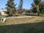 Satılır 28 sot torpaq Şüvəlan