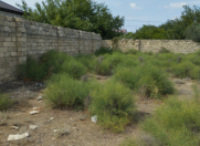 Satılır 5 sot torpaq Türkan