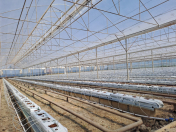 Satılır 2 otaqlı 51600 m2 obyekt Şabran