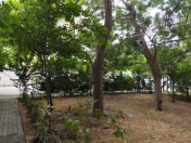 İcarəyə verilir 4 otaqlı 110 m2 köhnə tikili 8 mkr