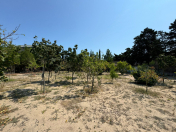 Satılır 24 sot torpaq Mərdəkan