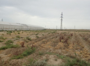 Satılır 128 sot torpaq Məhəmmədli