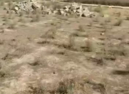 Satılır 4 sot torpaq Masazır