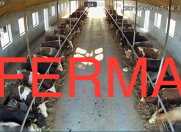 Satılır 10 otaqlı 2000 m2 obyekt Xaçmaz