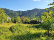 Satılır 12 sot torpaq Qəbələ