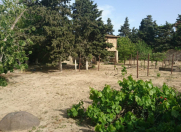 Satılır 11 sot torpaq Bilgəh