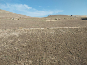 Satılır 10 sot torpaq Hökməli