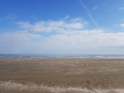 Satılır 6000 sot torpaq Xızı