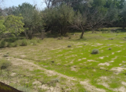 Satılır 6 sot torpaq Sumqayıt