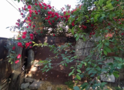 Satılır 2 otaqlı 400 m2 bağ evi Sumqayıt