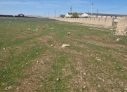 Satılır 50 sot torpaq Qobu