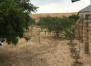 Satılır 33 sot torpaq Sumqayıt