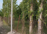 Satılır 20 sot torpaq Quba