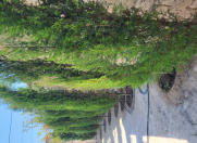 Satılır 3 otaqlı 120 m2 həyət evi Şüvəlan