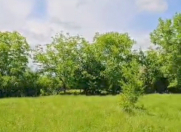 Satılır 16 sot torpaq Qəbələ