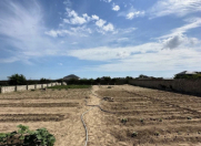 Satılır 12 sot torpaq Şüvəlan