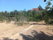 Satılır 12 sot torpaq Koroğlu m.