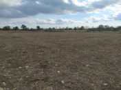 Satılır 26 sot torpaq Qəbələ