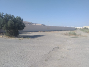 İcarəyə verilir 100 sot torpaq Sahil