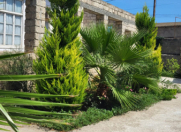 Satılır 3 otaqlı 120 m2 həyət evi Şüvəlan