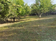 Satılır 8 sot torpaq İsmayıllı