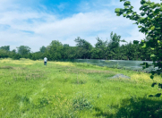 Satılır 120 sot torpaq Qəbələ