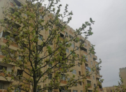 Satılır 3 otaqlı 88.8 m2 köhnə tikili Y.Günəşli