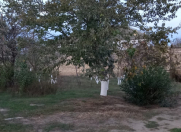 İcarəyə verilir 1 otaqlı 42 m2 köhnə tikili Koroğlu Parkı