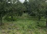 Satılır 15 sot torpaq Göyçay