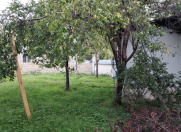 Satılır 7 sot torpaq Qəbələ