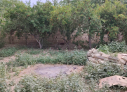 Satılır 2.4 sot torpaq Masazır