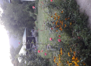 İcarəyə verilir 2 otaqlı 18 m2 həyət evi Qax