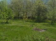 Satılır 4 sot torpaq Şəki