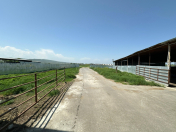 Satılır 1 otaqlı 1000 m2 obyekt Şabran