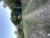 Satılır 4 otaqlı 85.4 m2 bağ evi Şabran