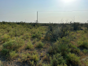 Satılır 6 sot torpaq Neftçala