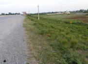 Satılır 100 sot torpaq Kürdəmir