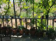 Satılır 4 otaqlı 120 m2 həyət evi Savalan