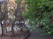 Satılır 2 otaqlı 45 m2 köhnə tikili Asan Xidmət-1