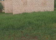 Satılır 4 otaqlı 90 m2 həyət evi Ağstafa