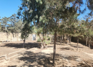 Satılır 6 sot torpaq Şüvəlan