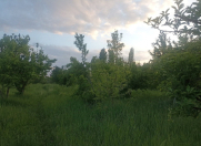 Satılır 31 sot torpaq Göyçay