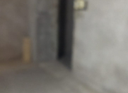 İcarəyə verilir 1 otaqlı 74 m2 yeni tikili Əhmədli