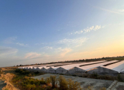 Satılır 5 otaqlı 20000 m2 obyekt Siyəzən