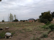 Satılır 21 sot torpaq Masallı