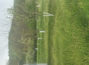 Satılır 15 sot torpaq Qusar