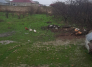 Satılır 9 sot torpaq Ramana