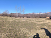 Satılır 21 sot torpaq Qəbələ